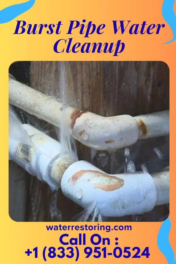 Burst Pipe Water Cleanup in Ochelata, OK