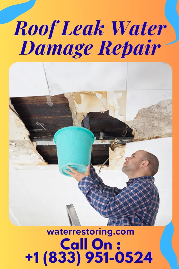 Roof Leak Water Damage Repair in Ochelata, OK