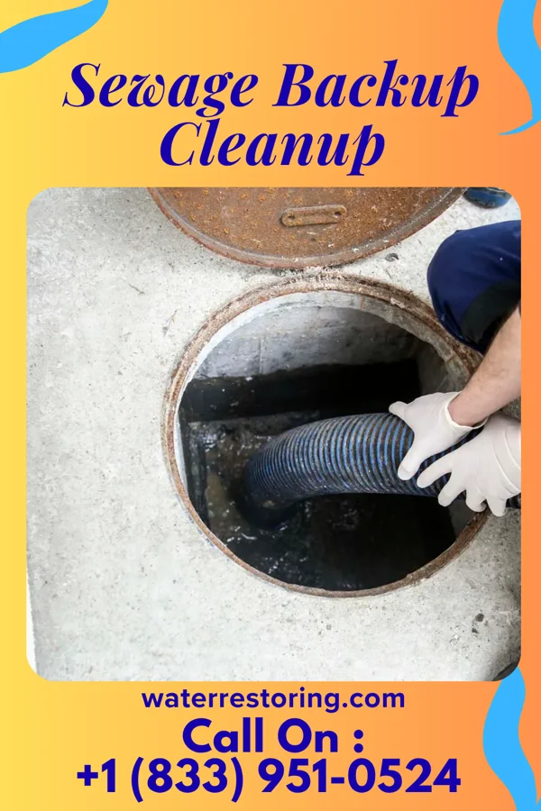Sewage Backup Cleanup in Ochelata, OK