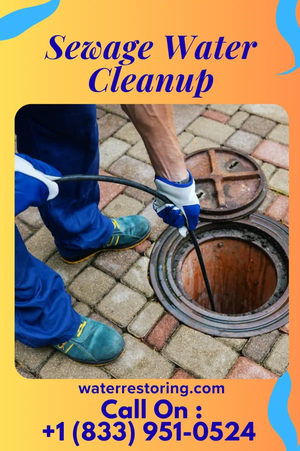 Sewage Water Cleanup in Ochelata, OK